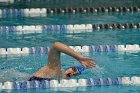 Women's Swimming & Diving  Wheaton College Women’s Swimming & Diving vs Mount Holyoke College. - Photo by Keith Nordstrom : Wheaton, Swimming & Diving